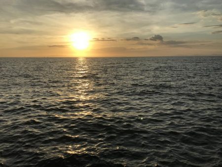 シオっぽいやつ