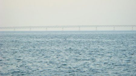 やはりコイツは裏切らない