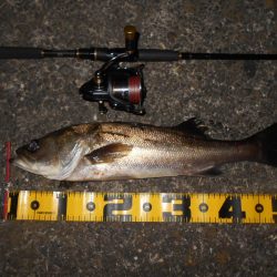 NEXT SPIN 20で爆撃？。