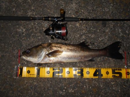 NEXT SPIN 20で爆撃？。