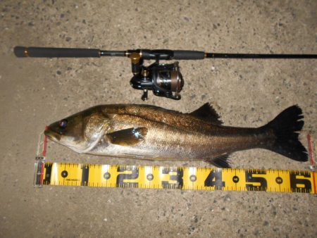 ピックアップ寸前にバスンッ♪。