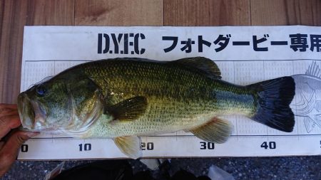 増水気味でもシャローカバーにピッタリ