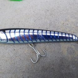 もっと釣れると思ったが…