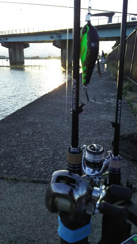 チョップカットフィッシュ