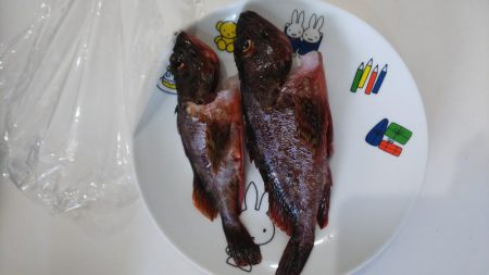 ガシラしか相手してくれへん