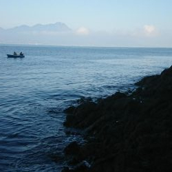 チニング&ロックフィッシュ