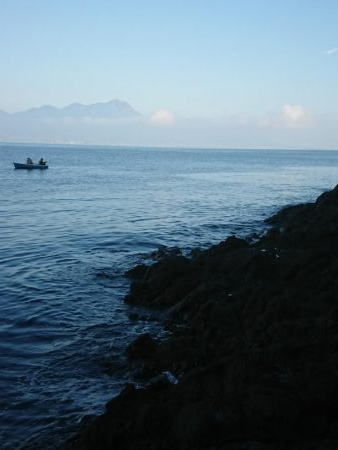 チニング&ロックフィッシュ