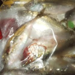 マズメアジング