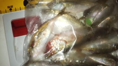 マズメアジング