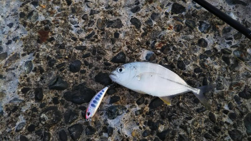 八丈島スーパーショアジギング