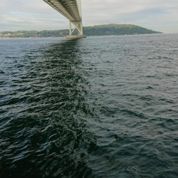 今年初ケンサキ