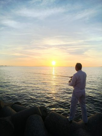 今年、初サゴシ。太刀魚入れ食い。