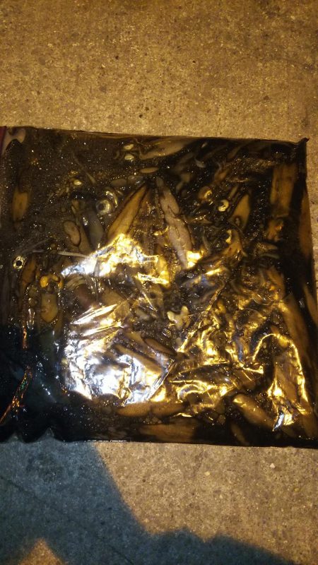 ライトエギング