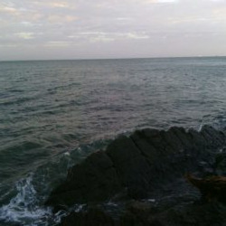 ショアジギングで真鯛