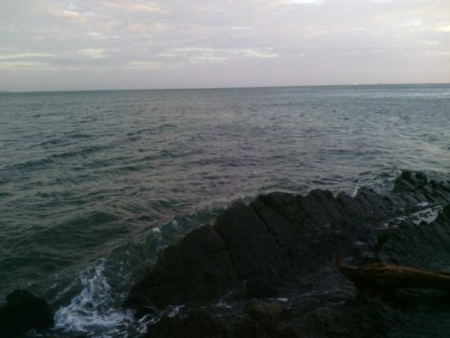 ショアジギングで真鯛