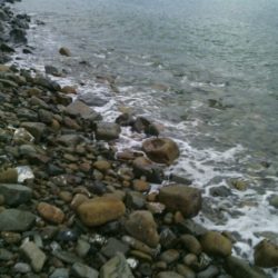 ショアジギで真鯛