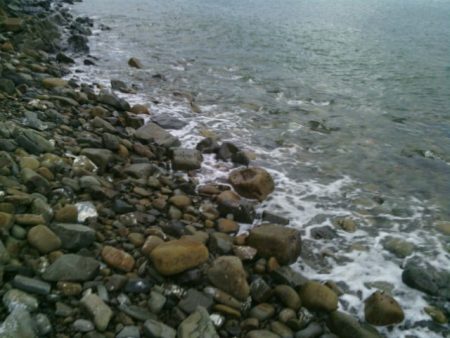 ショアジギで真鯛