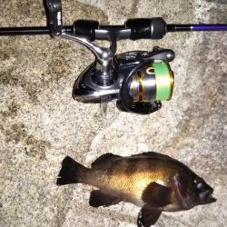 新ロッドのシェイクダウン1:00~3:30