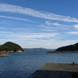 早く大きくなぁれ