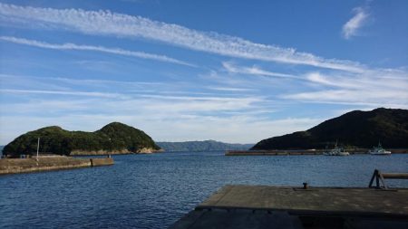 早く大きくなぁれ