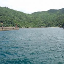 はやく大きくなぁれ