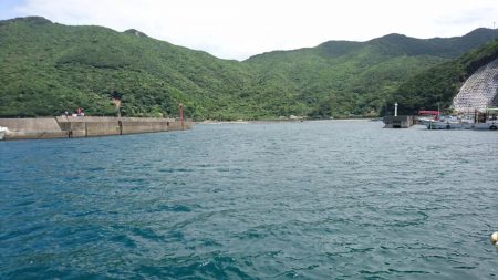 はやく大きくなぁれ