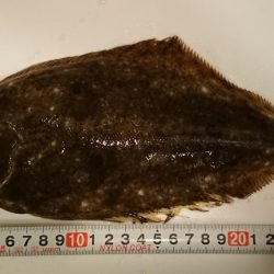 昼過ぎからのライトショアジギ