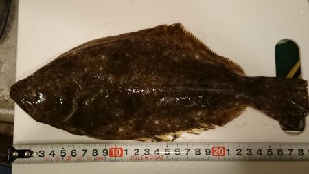 昼過ぎからのライトショアジギ