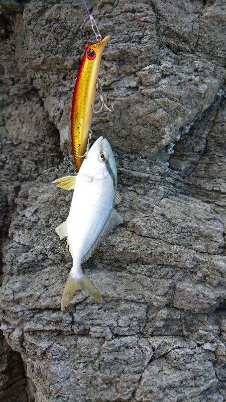 きれいな海を大切に