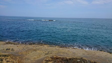 小さいけどなんとか一匹