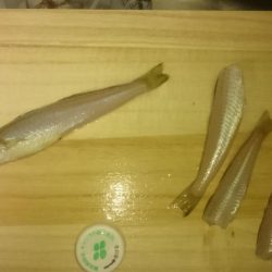 相方と久々ソルトゲーム