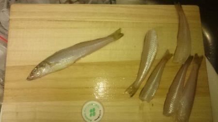 相方と久々ソルトゲーム