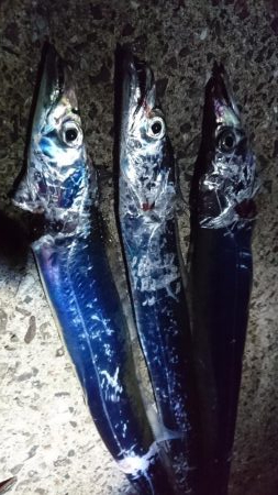 ガラガラですよ。