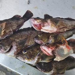 ライトショアジギ