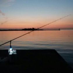 志筑川でキス釣り