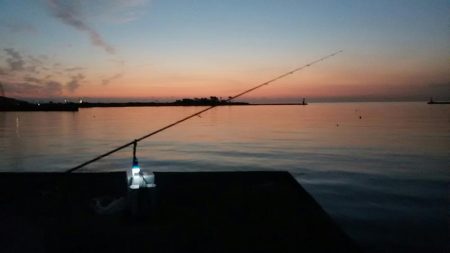 志筑川でキス釣り