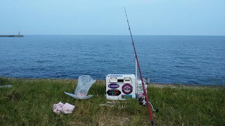 都志・明神でキス狙い