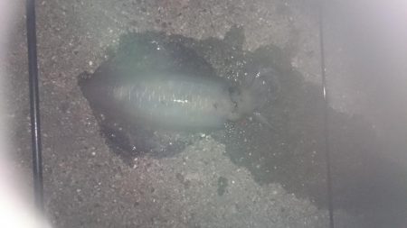 暑いのに、行ってきました。