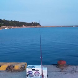 西淡、北淡、東浦のキス釣査