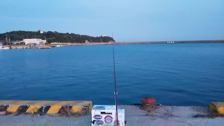 西淡、北淡、東浦のキス釣査