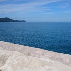 マリーナとの相性は・・・