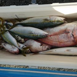 鳴門タイジギング&タイラバ