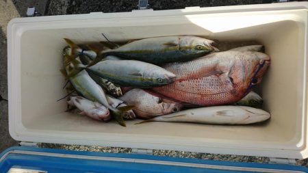 鳴門タイジギング&タイラバ