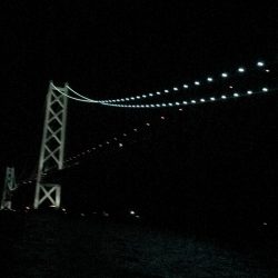 ケンサキはどこ?