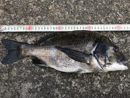 久しぶりの釣行！