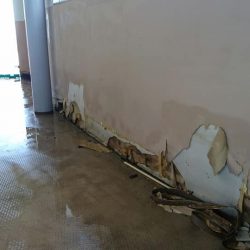 台風20号による翼港施設閉鎖について