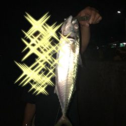 ロックフィッシュ