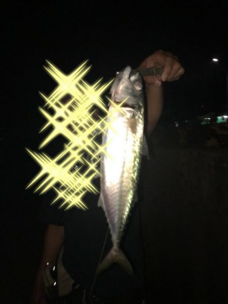 ロックフィッシュ