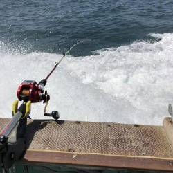 仁王丸さんでタチウオ調査