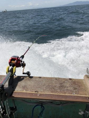 仁王丸さんでタチウオ調査